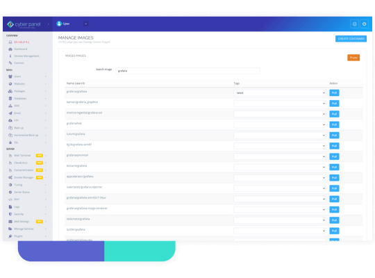 Docker manager interface
