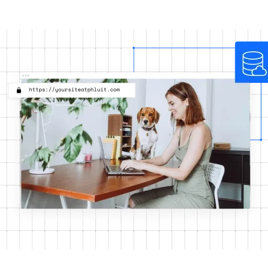 Comprehensive migration